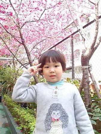 SAM_0896 (小型).JPG