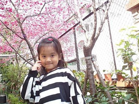 SAM_0904 (小型).JPG