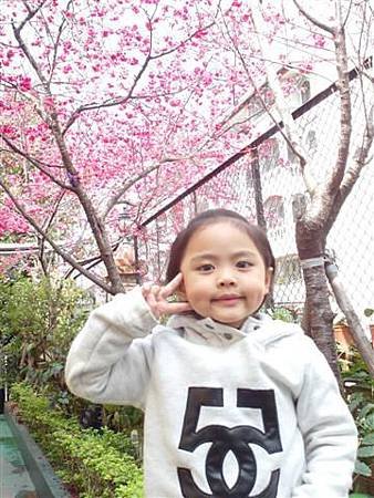 SAM_0906 (小型).JPG