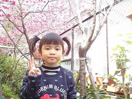 SAM_0910 (小型).JPG