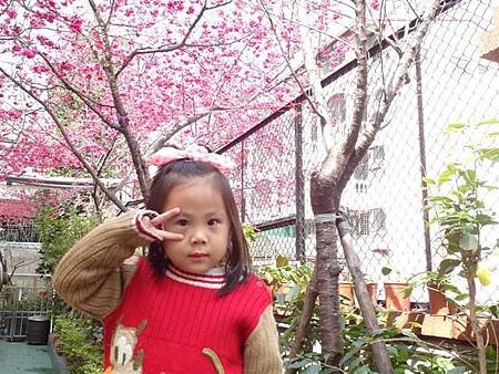 SAM_0912 (小型).JPG