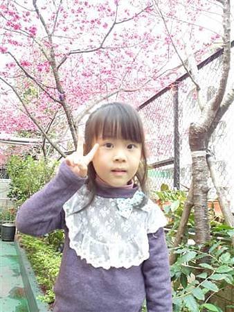 SAM_0915 (小型).JPG