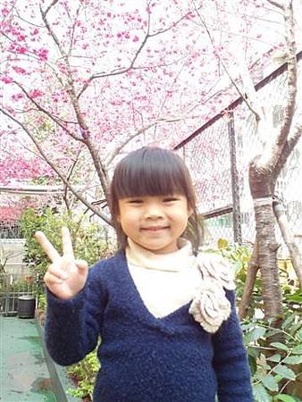 SAM_0913 (小型).JPG