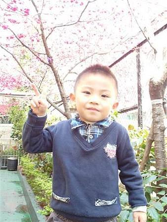SAM_0931 (小型).JPG