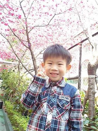 SAM_0933 (小型).JPG