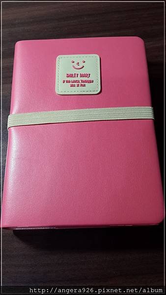 2015 diary03.jpg