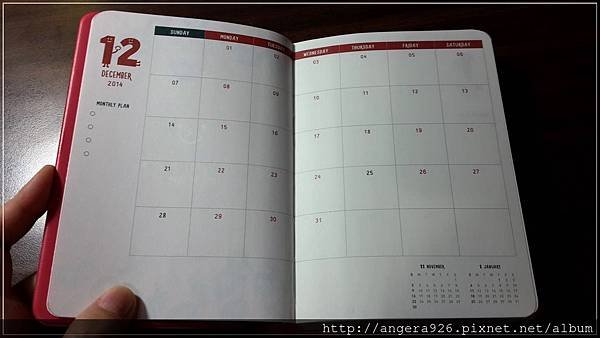 2015 diary10.jpg