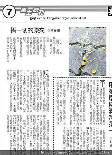 ［更生日報副刊］悟一切的原來︱合作邀約歡迎來訊︱202501