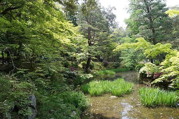 03京阪神奈D4-萬葉植物園