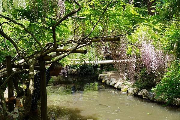 08京阪神奈D4-萬葉植物園