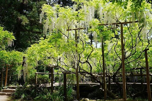 09京阪神奈D4-萬葉植物園