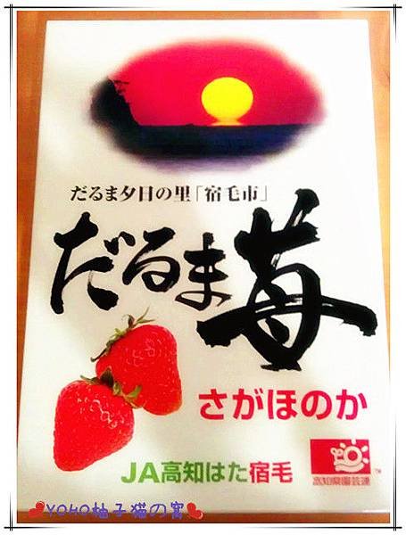 IMAG3523_副本