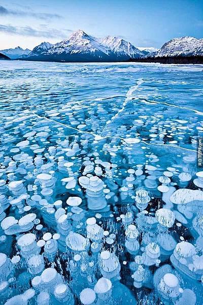 冰凍的泡泡湖
