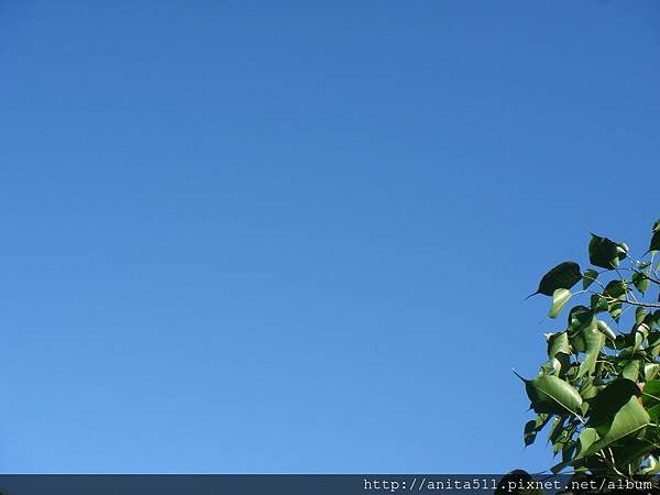 喪親的悲傷過程