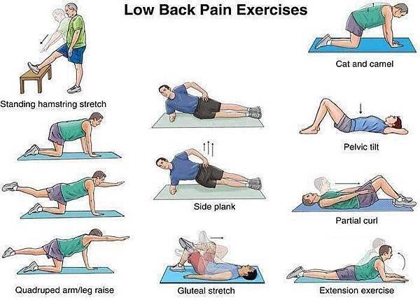 改善下背痛的運動