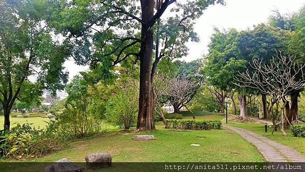 台中科博館植物園