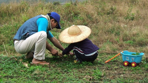 2009.2.17舅和舅媽來台東玩~這是去~來吹涼風民 宿老闆給的龍舌蘭種苗003~.jpg