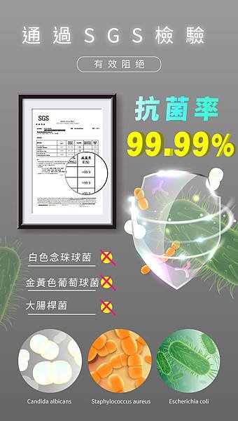SGS報告.jpg