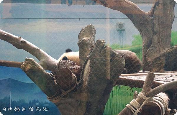 木柵96