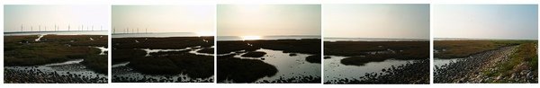 20100718高美濕地001