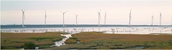 20100718高美濕地003
