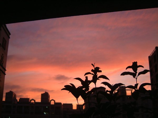 20091006夕陽01