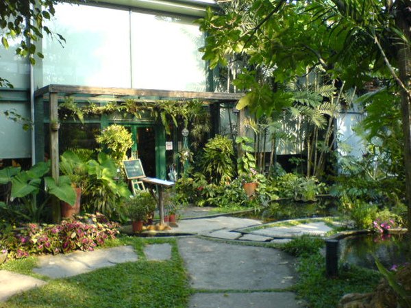 20091208千樺花園09