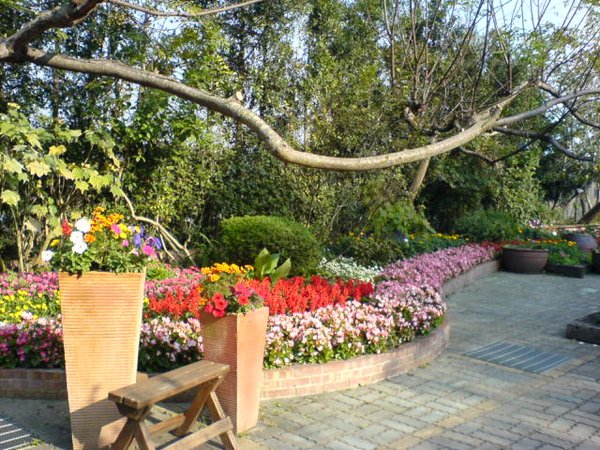 20091208千樺花園11