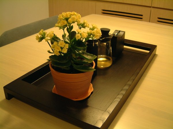 20100220長壽花002