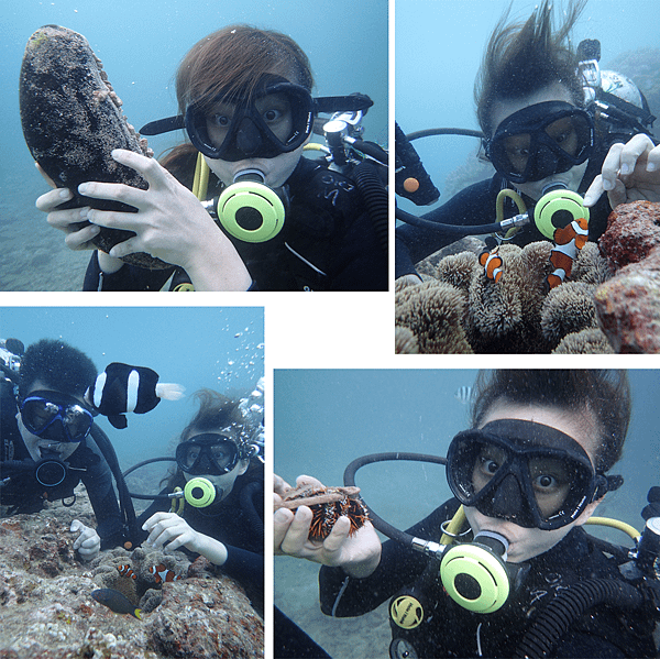 diving_okinawa.png