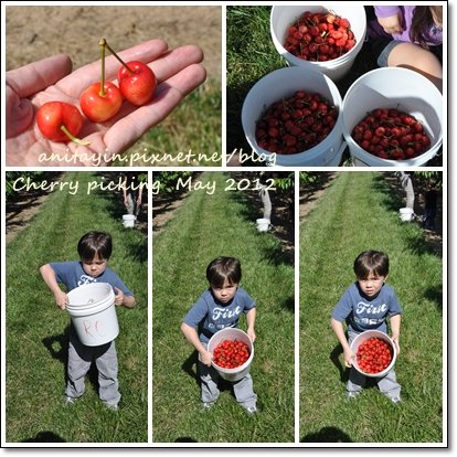 Cherry picking -1