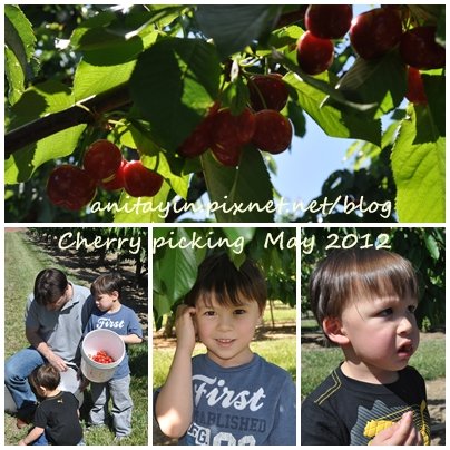 Cherry picking -2