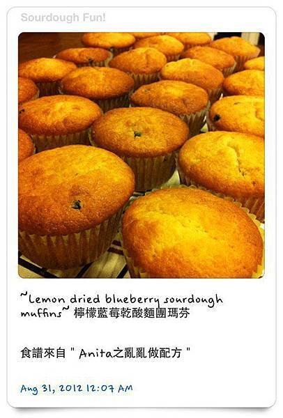 Sourdough MUFFINS﹣ LEMON dried blueberry