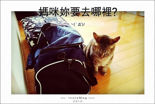 img1377220097105