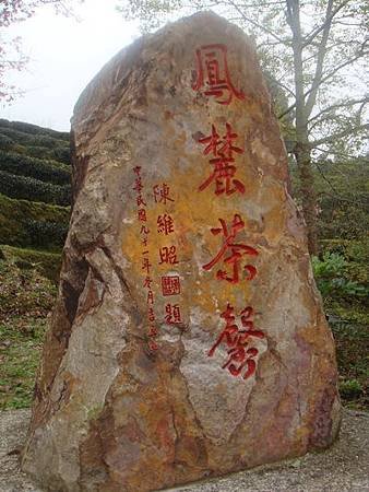 DSC08653