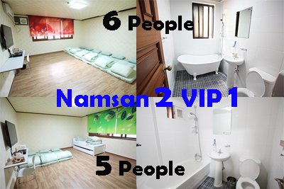 Nasam2 VIP 1