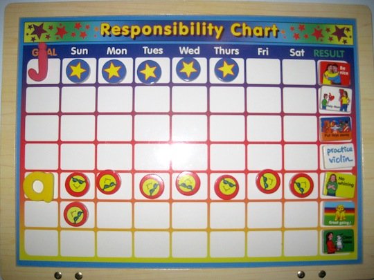 responsibility chart1.jpg