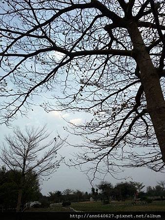 20140305_172018.jpg