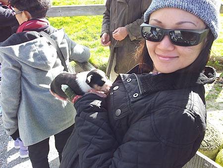 20141024_120536 - Copy.jpg