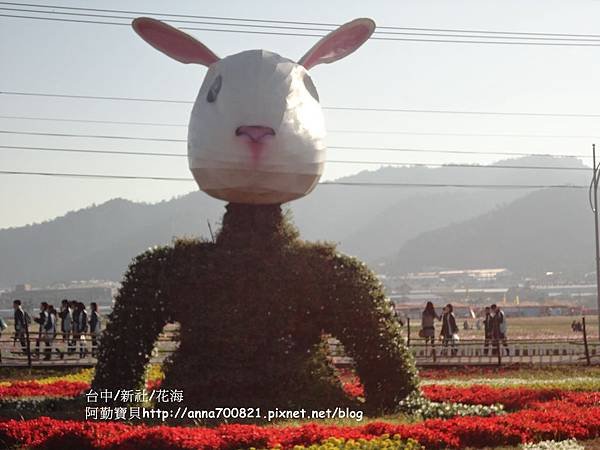 DSC08630.JPG