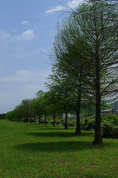 P1310419