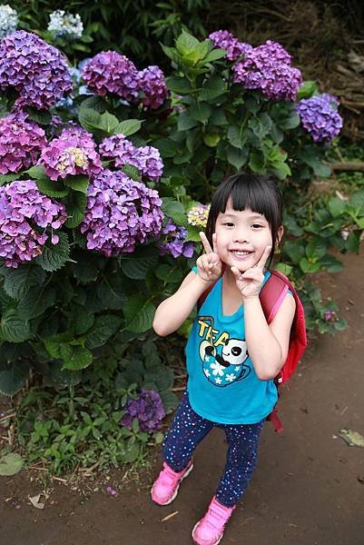 IMG_8679.jpg