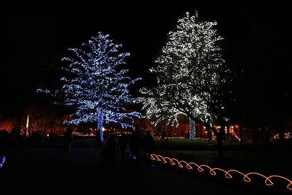 IMG_8721