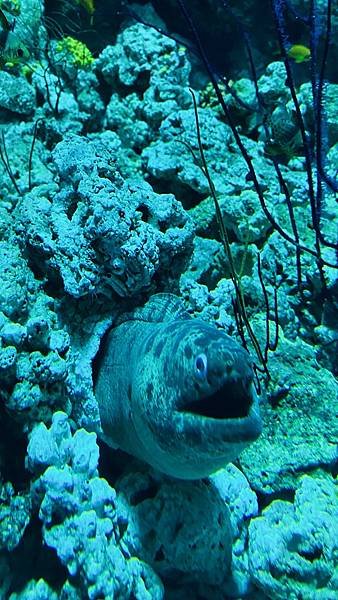 IMG_E5792.jpg