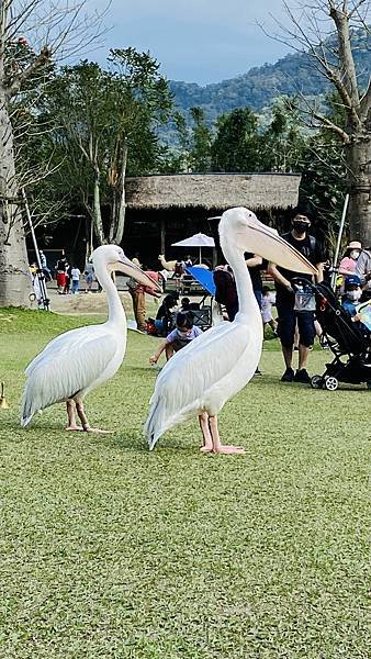 IMG_E0961.jpg