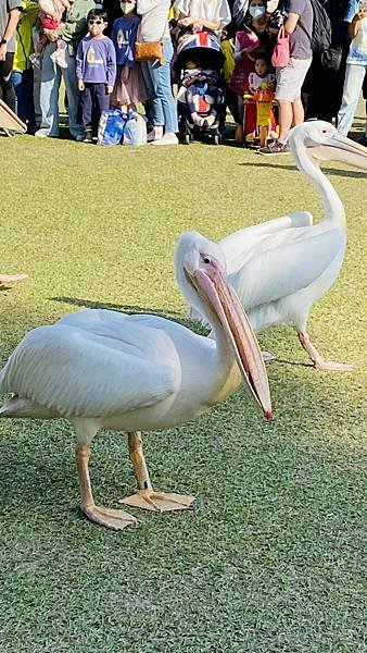 IMG_E0966.jpg