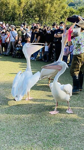 IMG_E0968.jpg