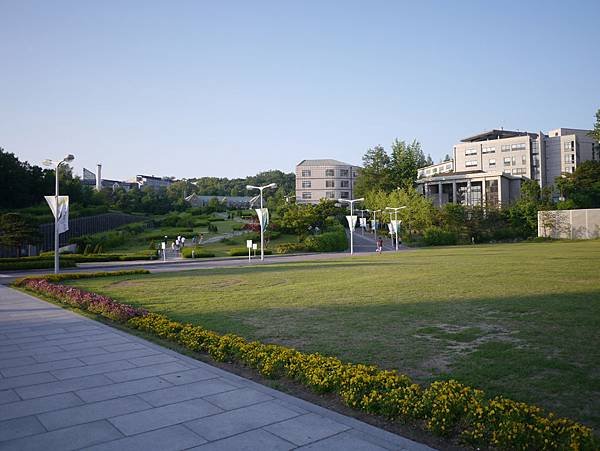 P1010958