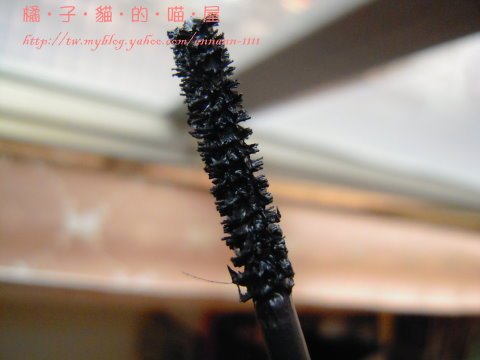 DSCN5987