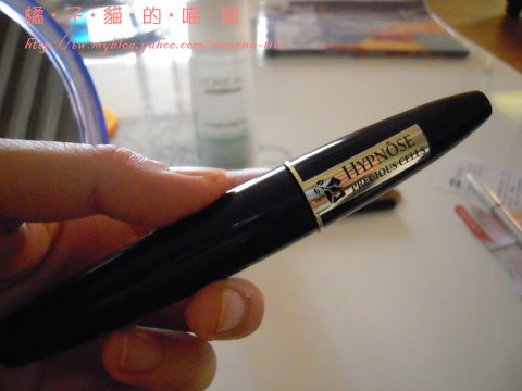 DSCN5990